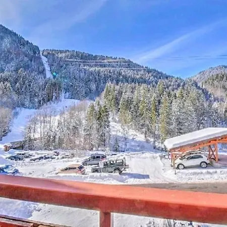 2 Pieces Aux Pieds Des Pistes Avec Wifi Apartment