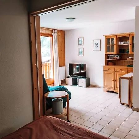 2 Pieces Aux Pieds Des Pistes Avec Wifi * Morzine